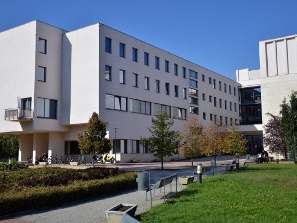 A Nyíregyházi Egyetem belső ellenőrzési vezető beosztás ellátására pályázatot hirdet