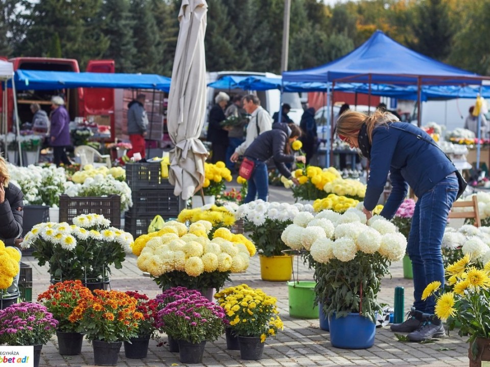 A Jósavárosi Piacon óriási a választék – Koszorúk, virágok, mécsesek