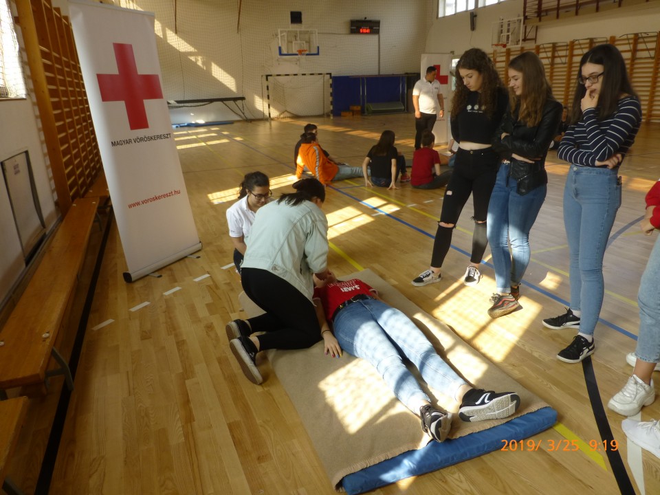 A Nyíregyházi Kölcsey Ferenc Gimnáziumban nemcsak az iskolának,  hanem az életnek is tanulnak a tanulók