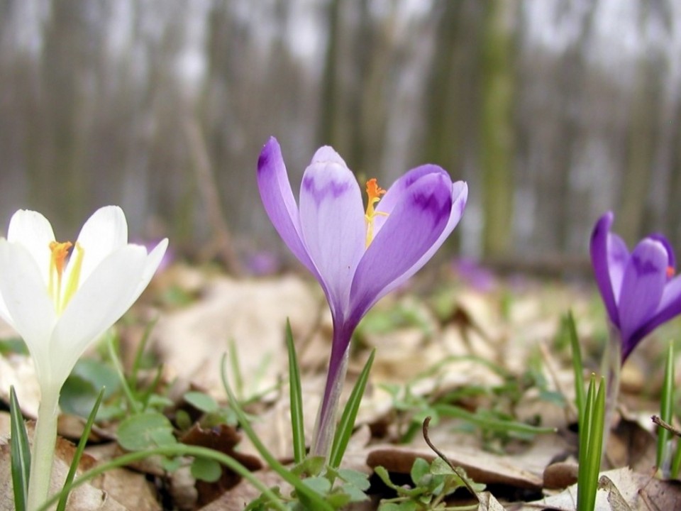 A SZATMÁR-BEREGI NATÚRPARK