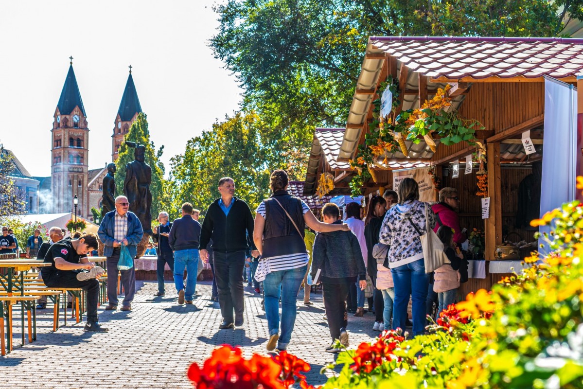 Legjobb szombat délelőtti pillanatok a Tirpák Fesztiválról