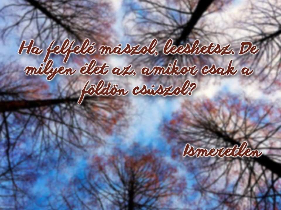 Napi idézet