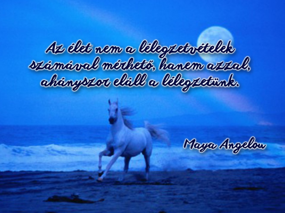 Napi idézet