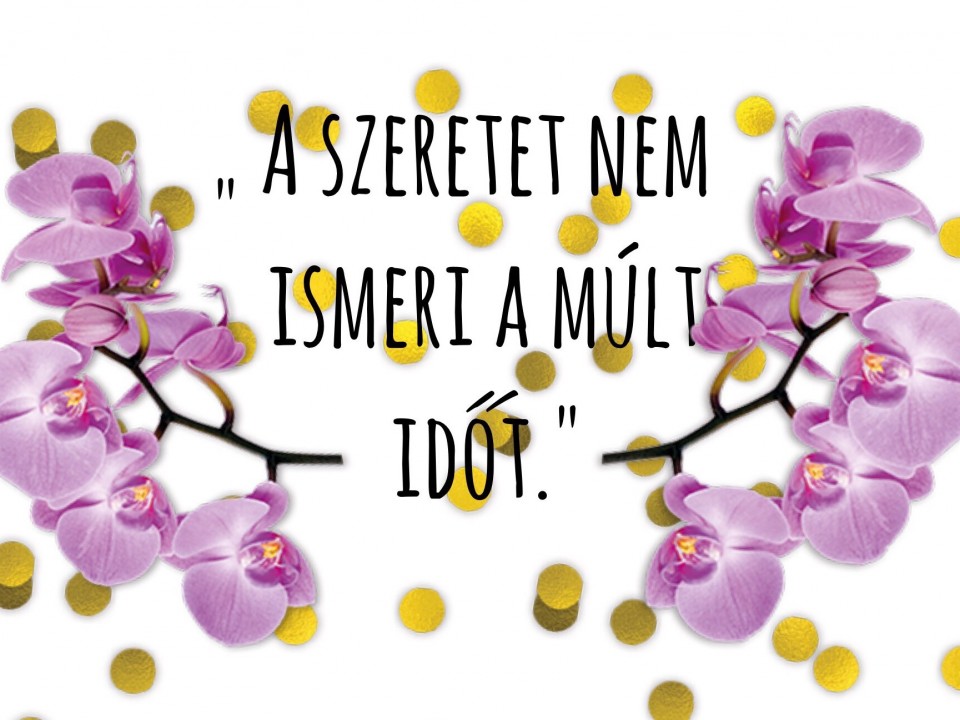 Napi idézet
