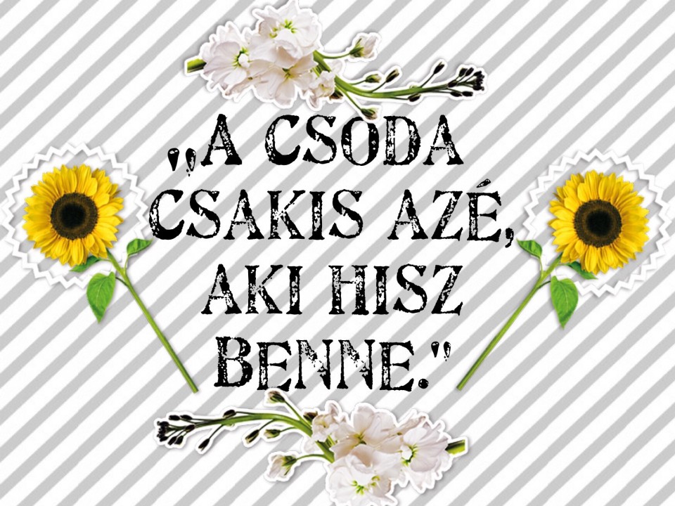 Napi idézet