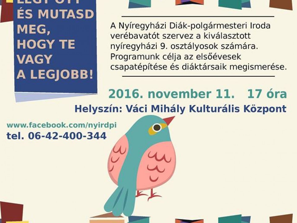 ELSŐ NYÍREGYHÁZI VERÉBAVATÓ
