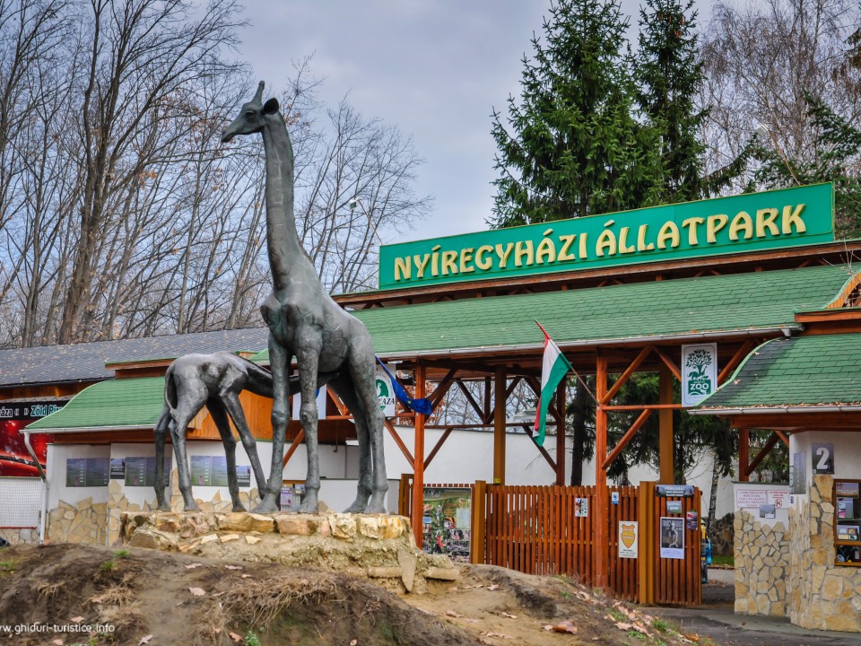 Féláron a Nyíregyházi Állatparkba!