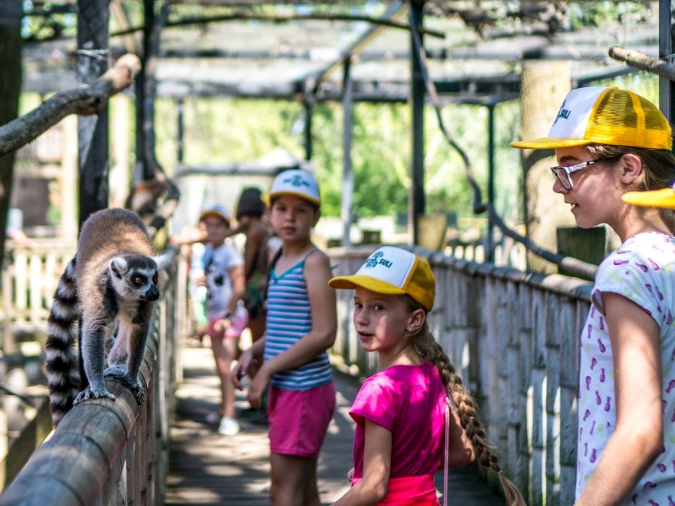 Kezdetét vette a Nyíregyházi Állatpark nyári tábora