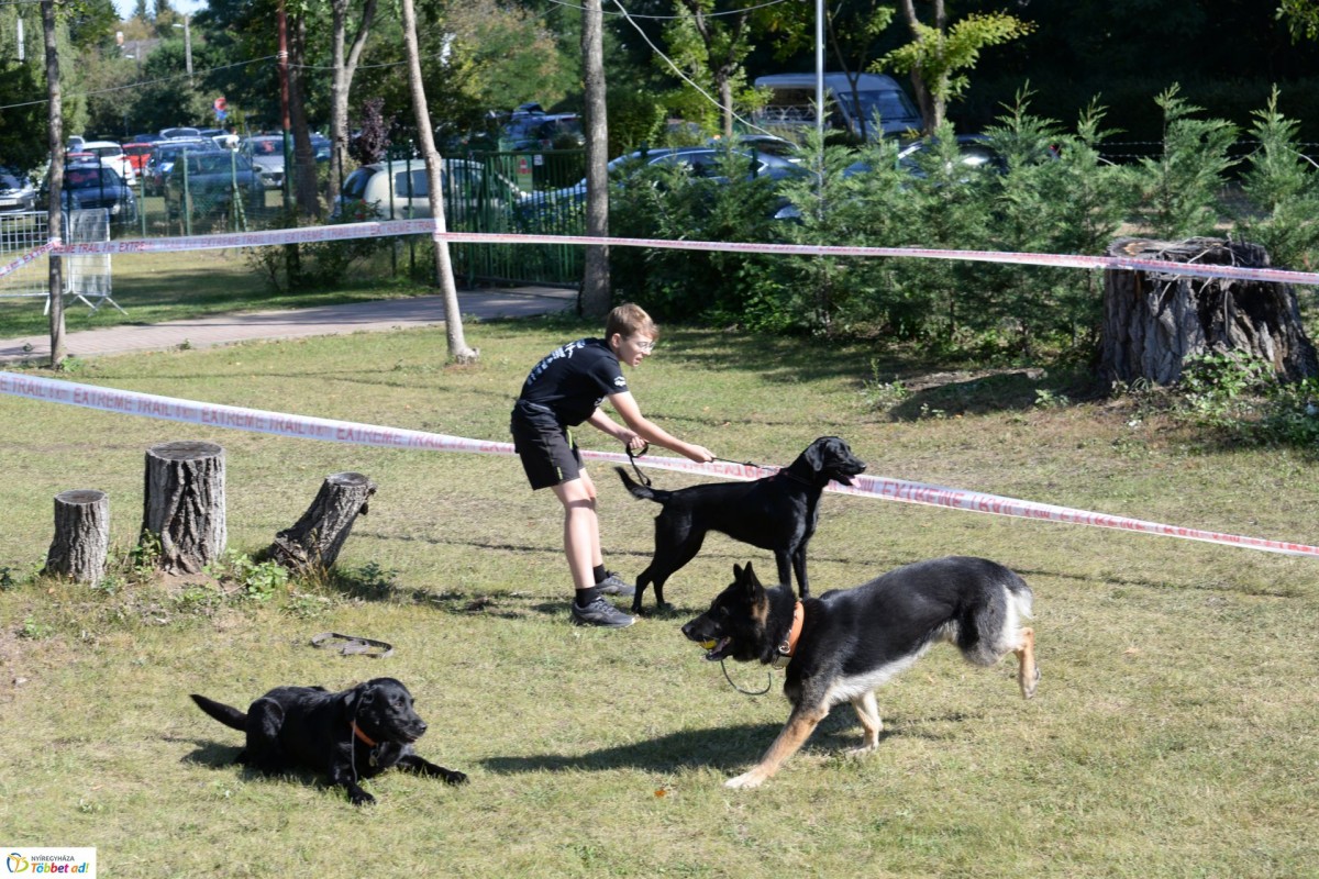 Óriási játszótérré változott egész Sóstó! - Közel ezer versenyző úszott, kúszott, csúszott, mászott