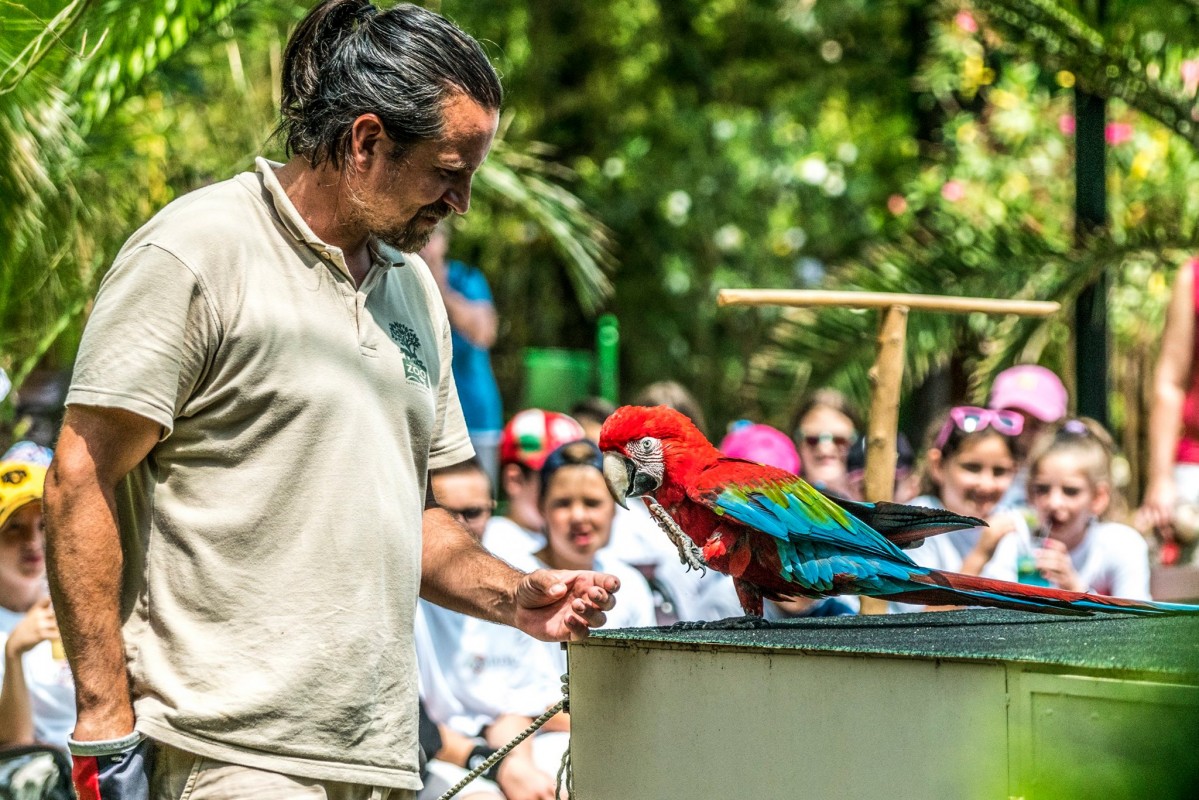Kezdetét vette a Nyíregyházi Állatpark nyári tábora