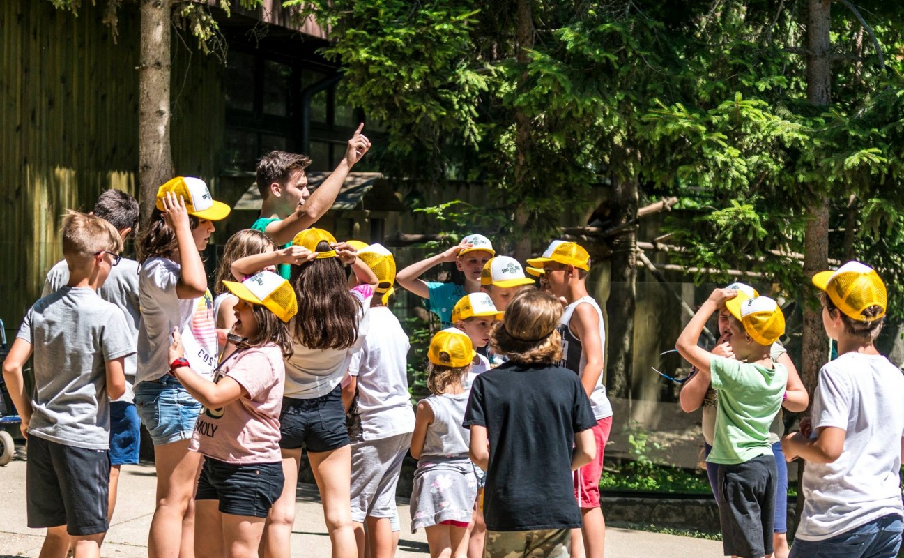 Kezdetét vette a Nyíregyházi Állatpark nyári tábora