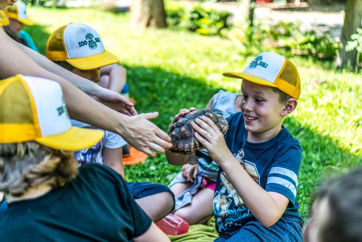 Kezdetét vette a Nyíregyházi Állatpark nyári tábora