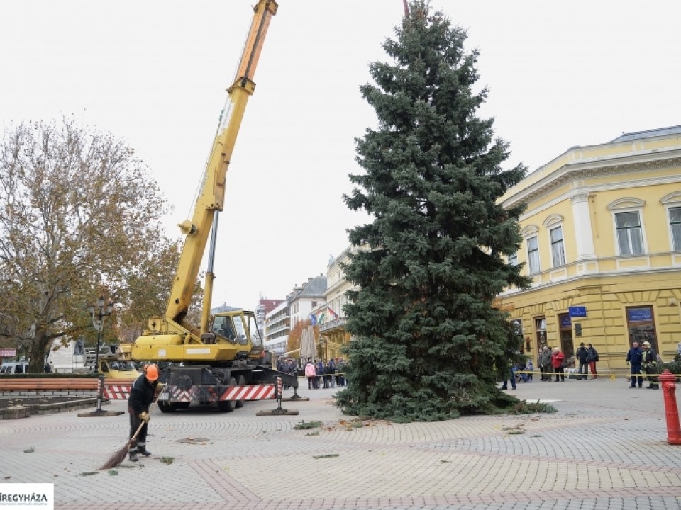 MEGÉRKEZETT NYÍREGYHÁZA KARÁCSONYFÁJA