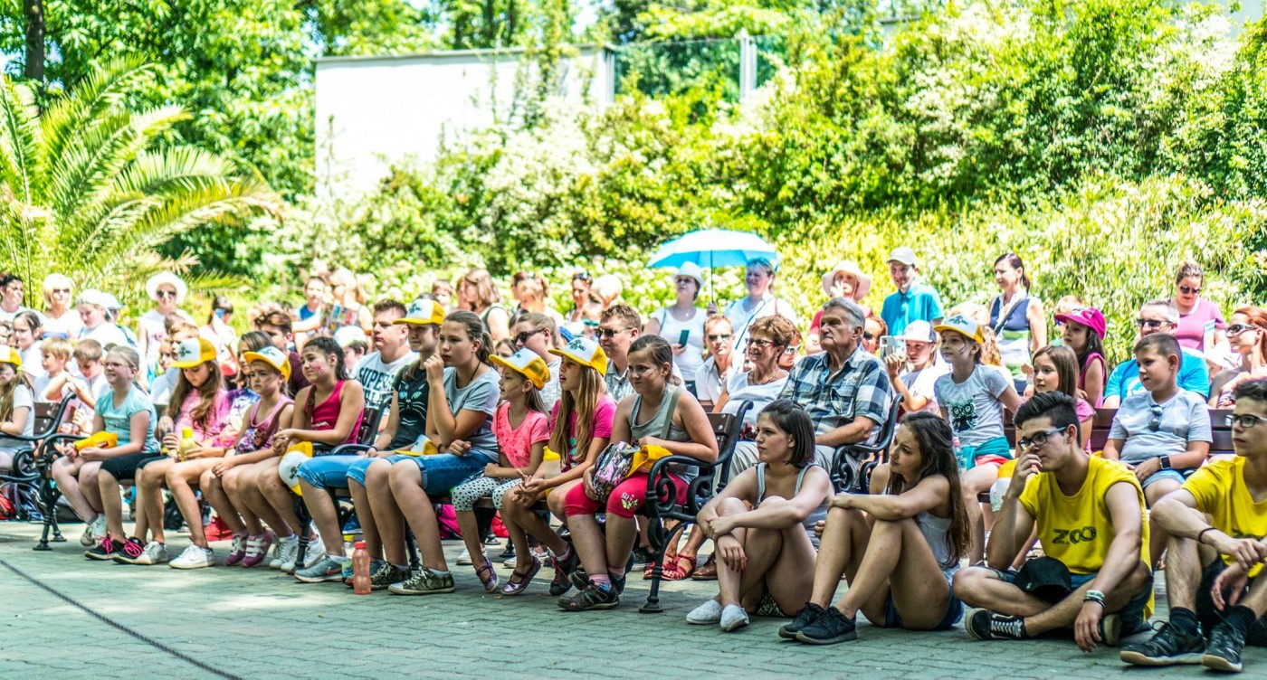 Kezdetét vette a Nyíregyházi Állatpark nyári tábora