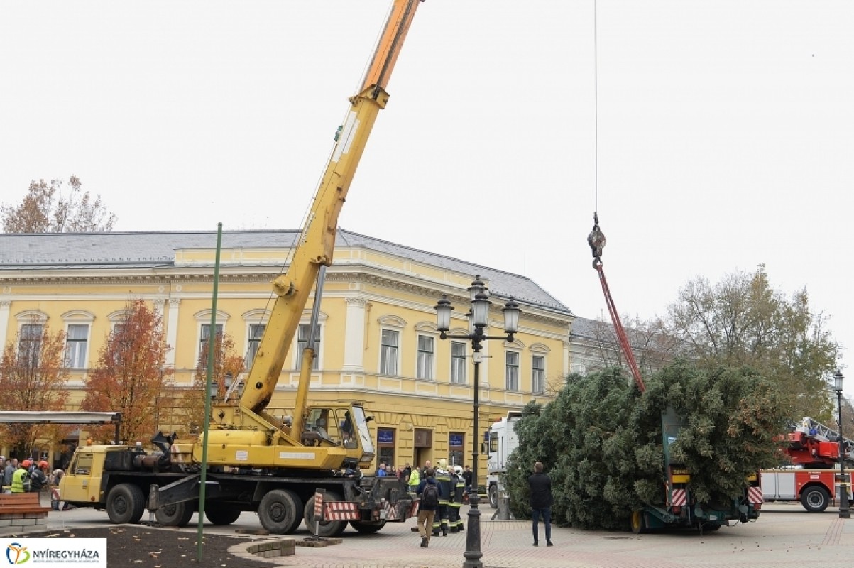 MEGÉRKEZETT NYÍREGYHÁZA KARÁCSONYFÁJA