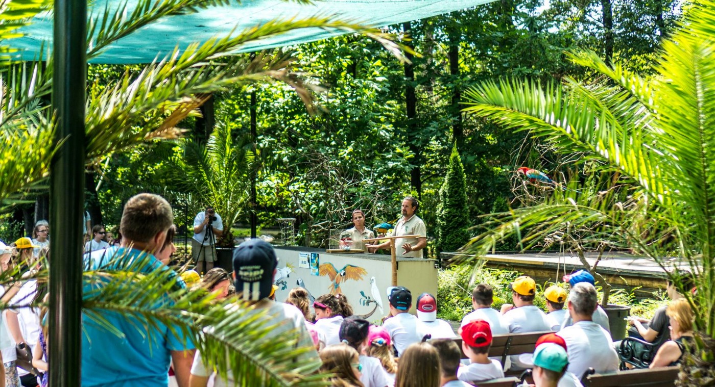 Kezdetét vette a Nyíregyházi Állatpark nyári tábora