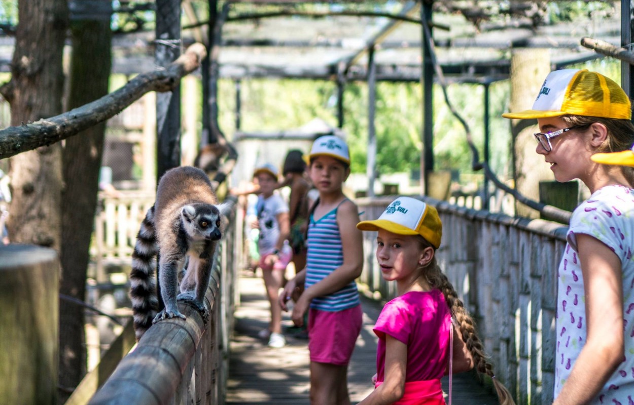 Kezdetét vette a Nyíregyházi Állatpark nyári tábora