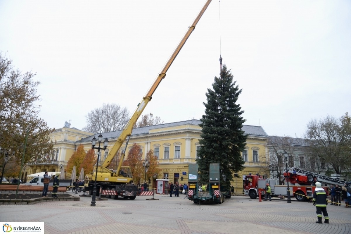 MEGÉRKEZETT NYÍREGYHÁZA KARÁCSONYFÁJA