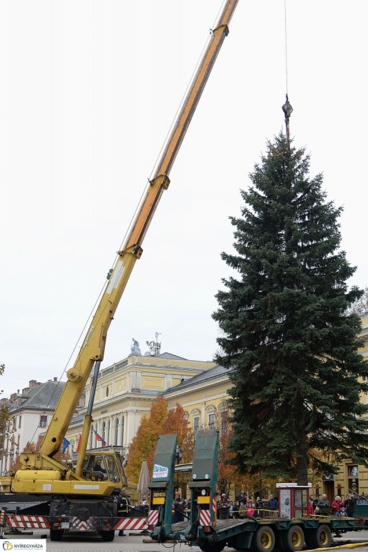 MEGÉRKEZETT NYÍREGYHÁZA KARÁCSONYFÁJA