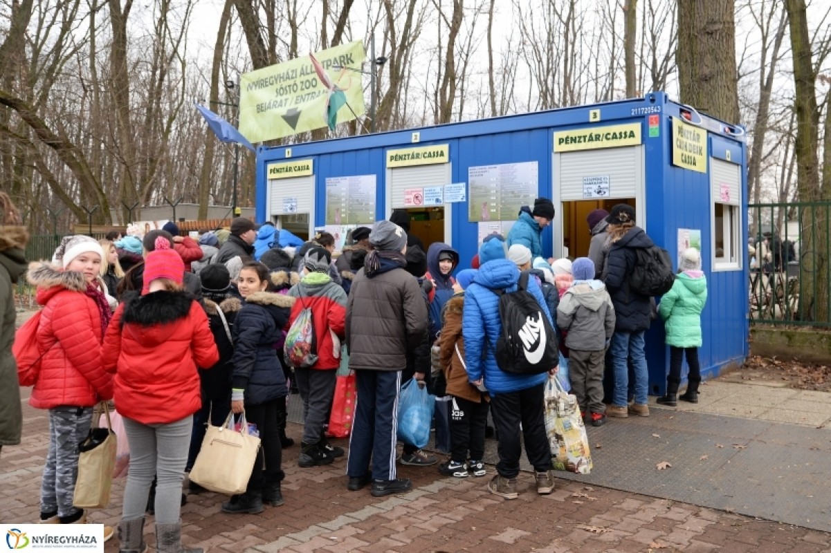100  Ft-os nap az állatparkban