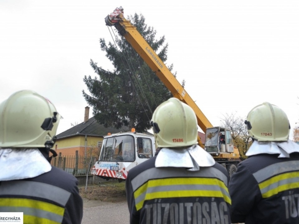 Holnap érkezik a Kossuth térre a város karácsonyfája