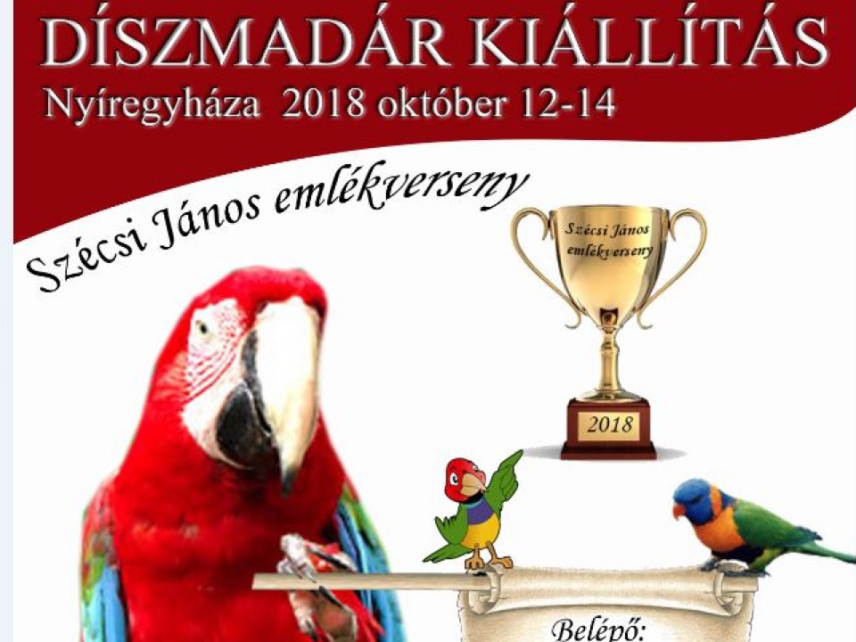 Díszmadár kiállítás!