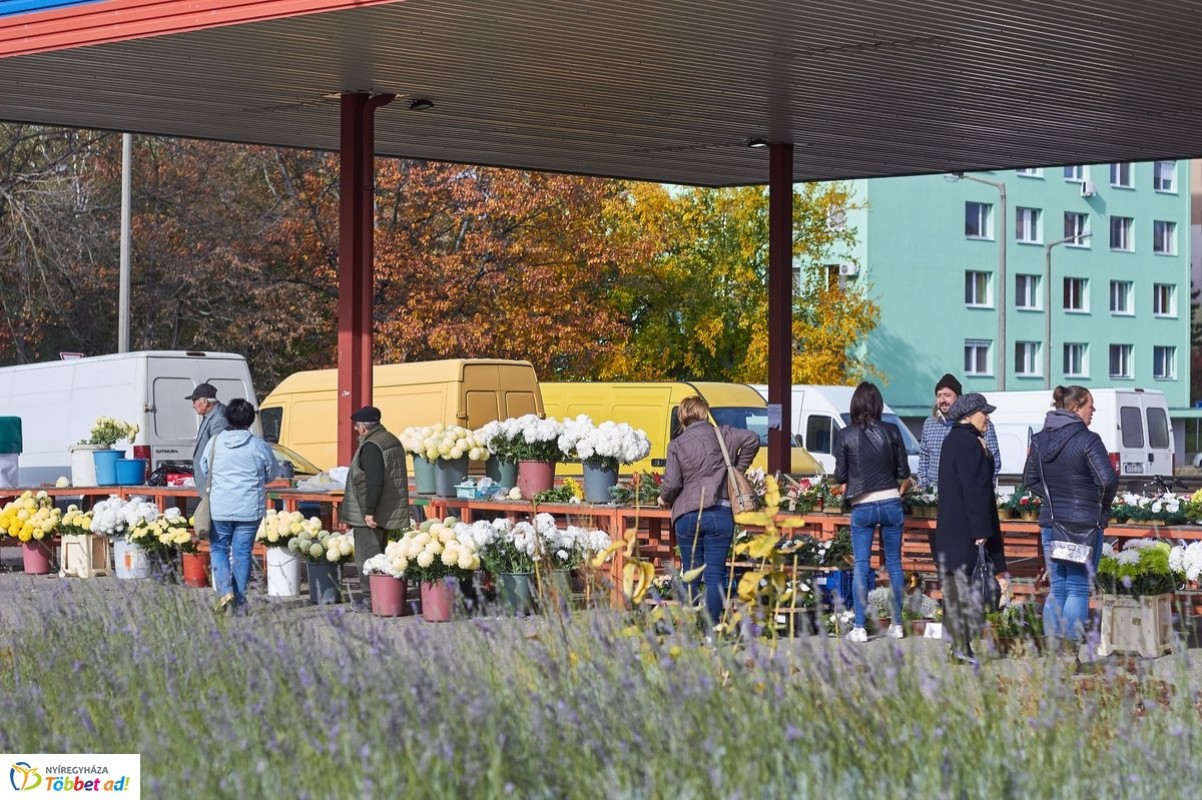 A Jósavárosi Piacon óriási a választék – Koszorúk, virágok, mécsesek