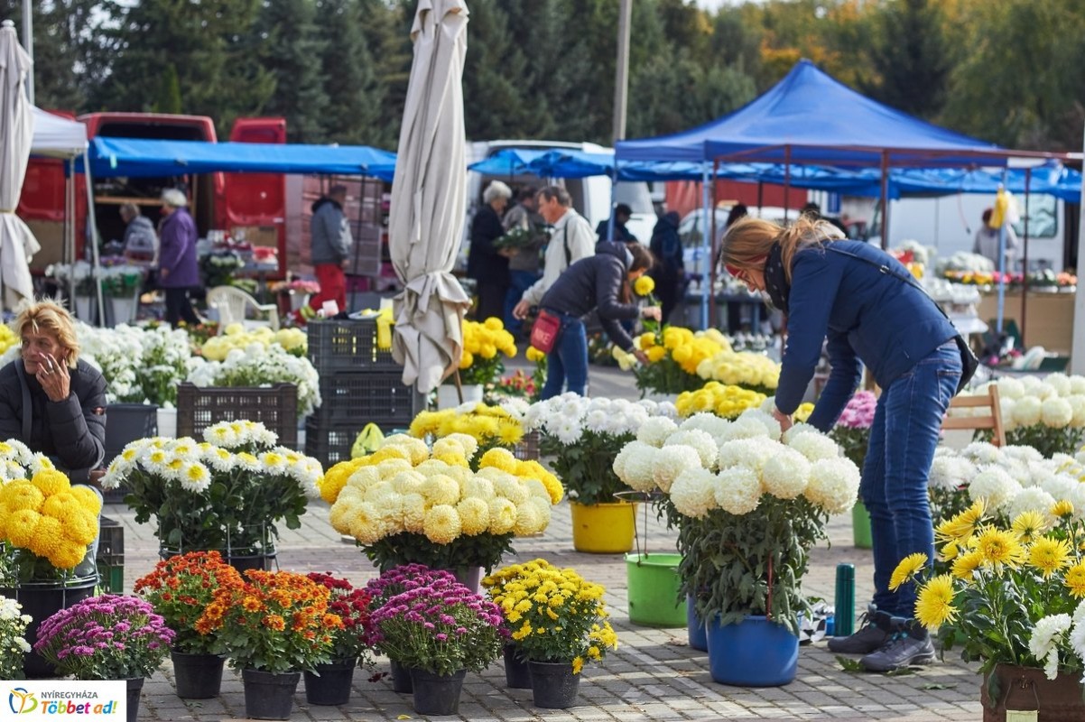 A Jósavárosi Piacon óriási a választék – Koszorúk, virágok, mécsesek