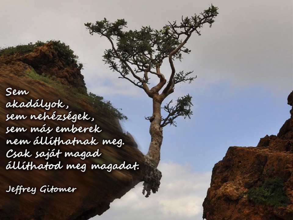 Napi idézet