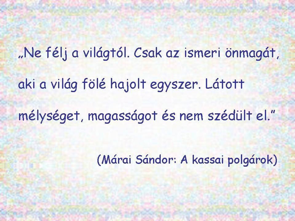 Napi idézet