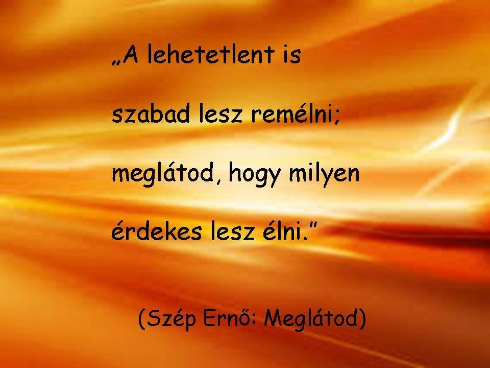 Napi idézet