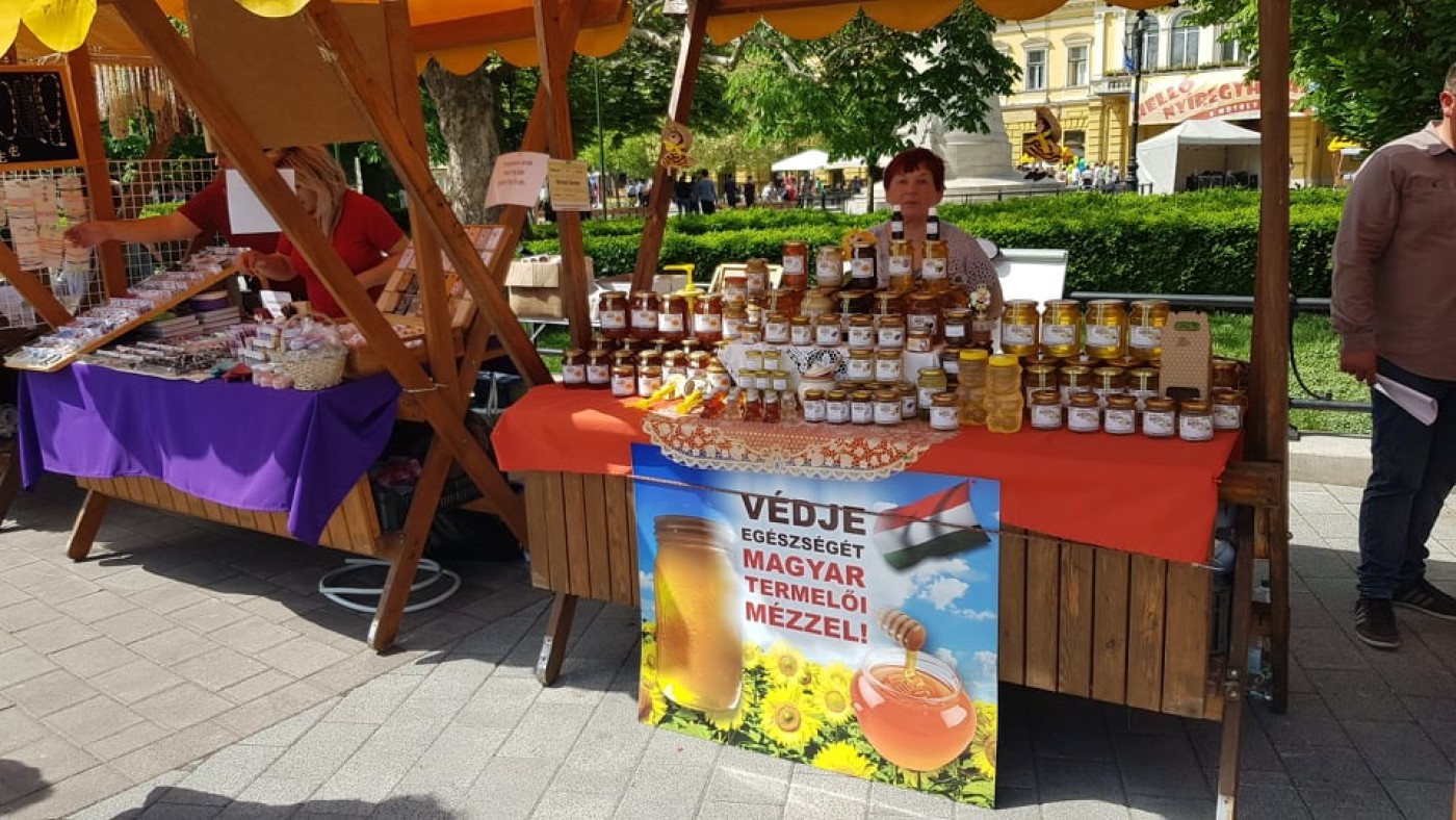 Őrületes hangulat egész nap a Helló Nyíregyháza rendezvényen - Nézd meg a fotókat!