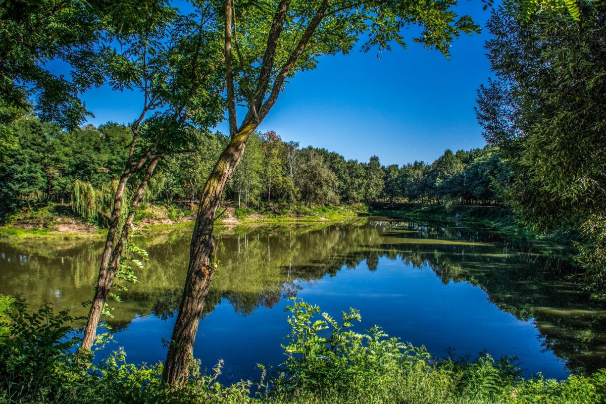 BEREGDARÓC FELFEDEZVE