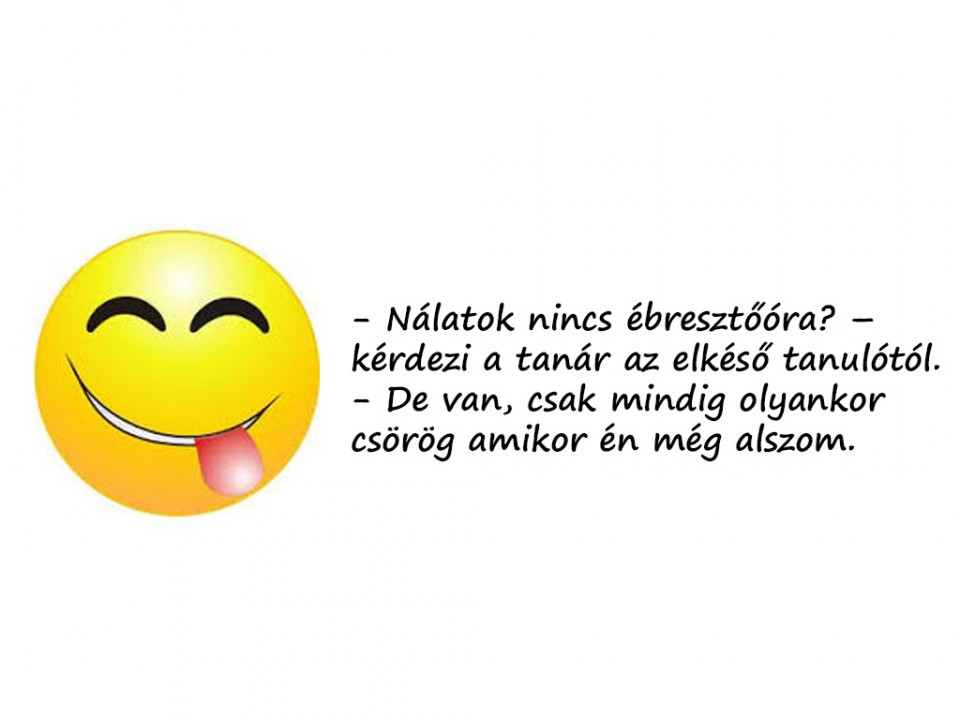 Vicc