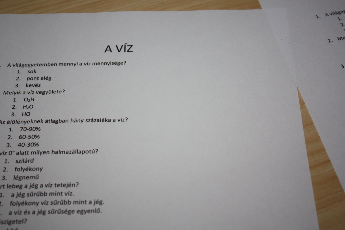 Víz Világnapja a Ridensben