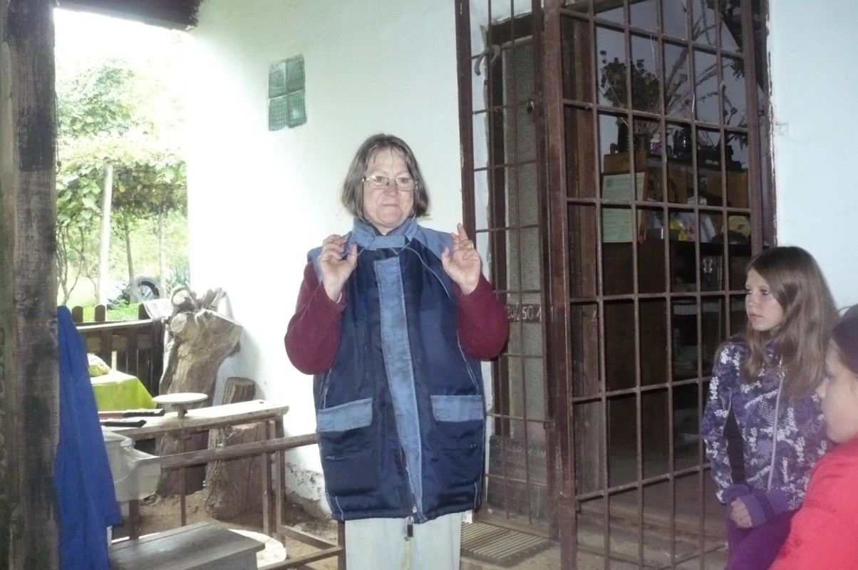 Állatok Világnapja