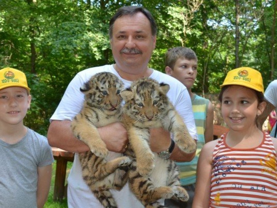 SZOROS VERSENYBEN AZ ÁLLATPARK