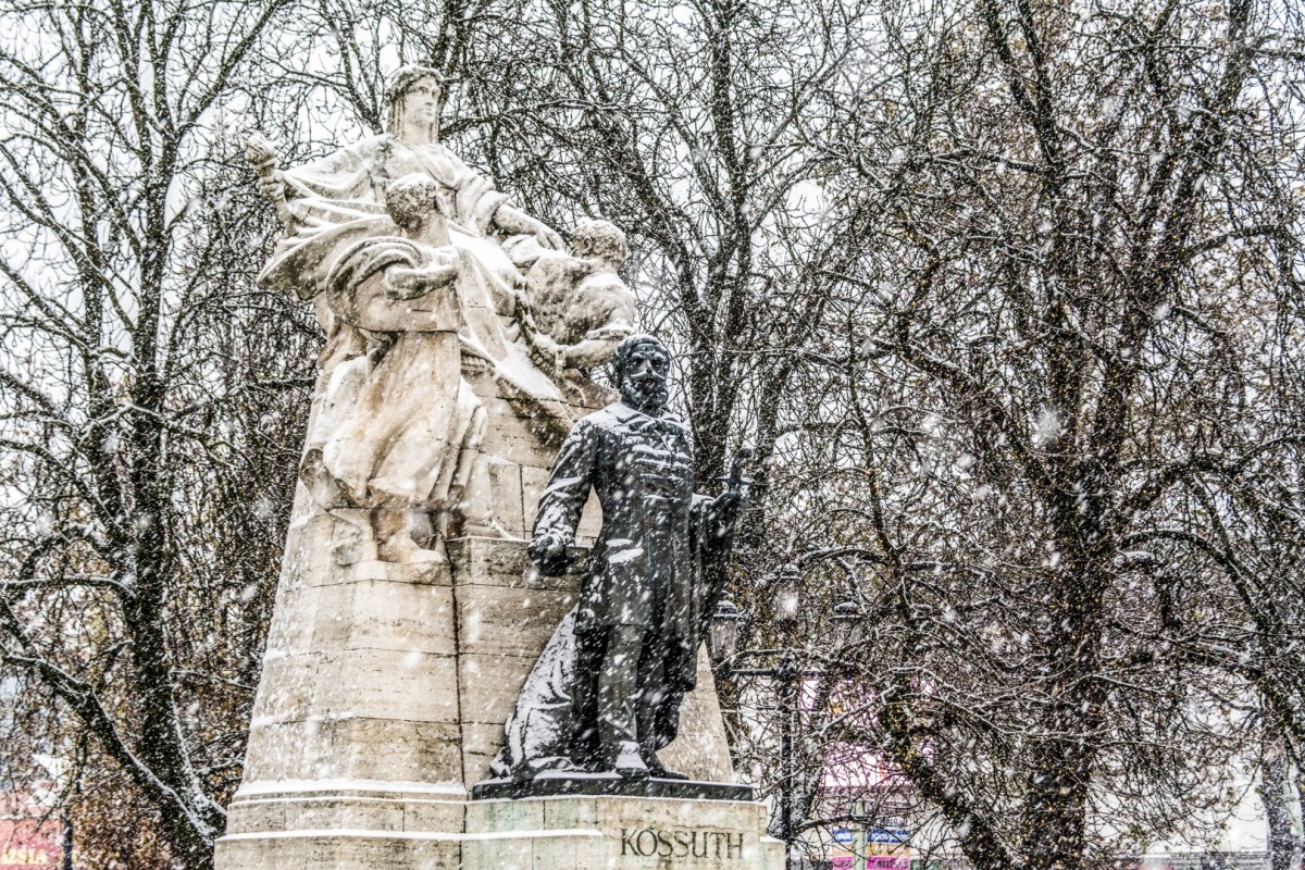 HÓFEDTE NYÍREGYHÁZA