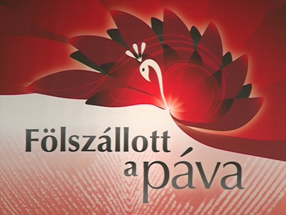 Nyíregyháziak a középdöntőben!