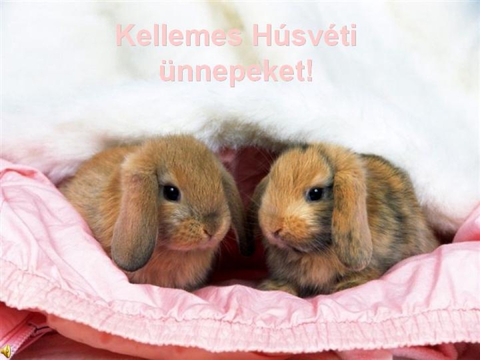 Kellemes Húsvéti Ünnepeket!
