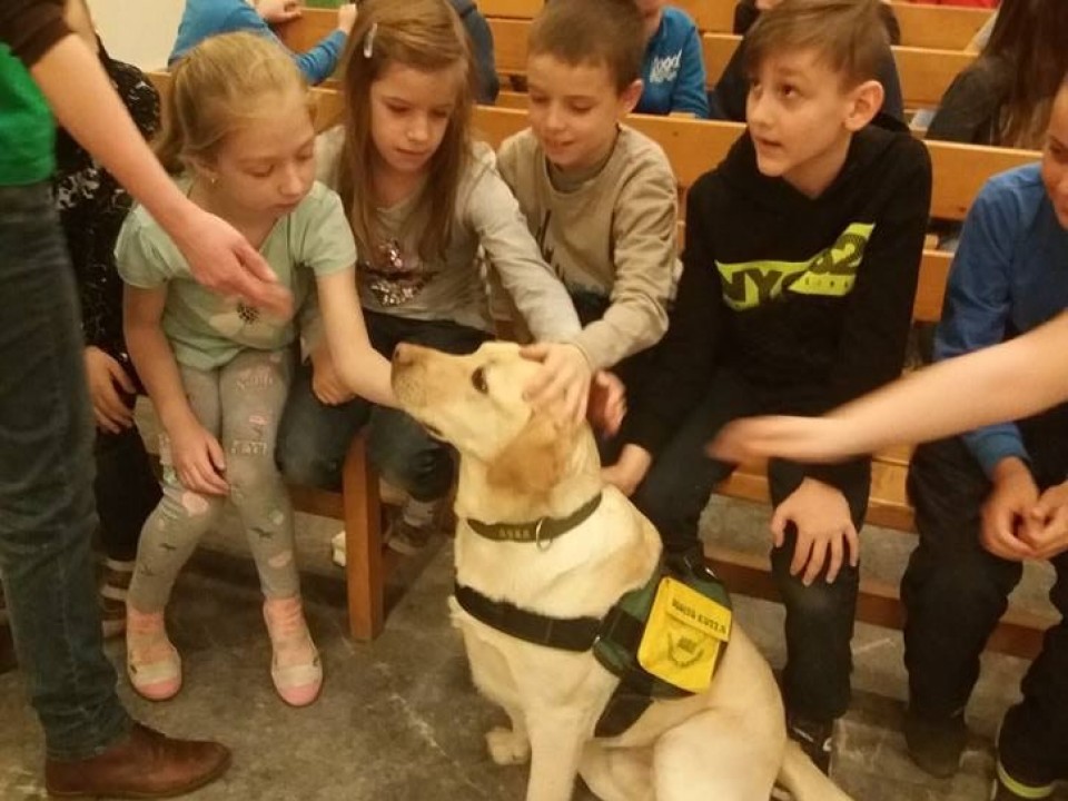 Segítő kutyák az Aranyban