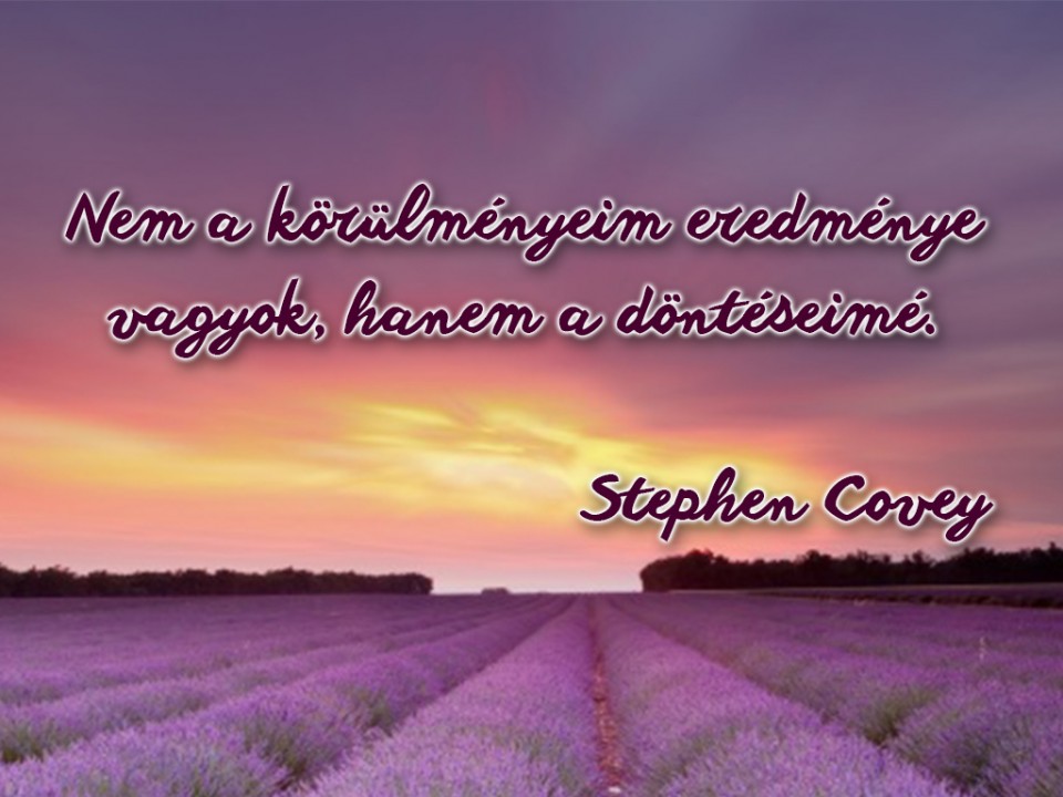 Napi idézet