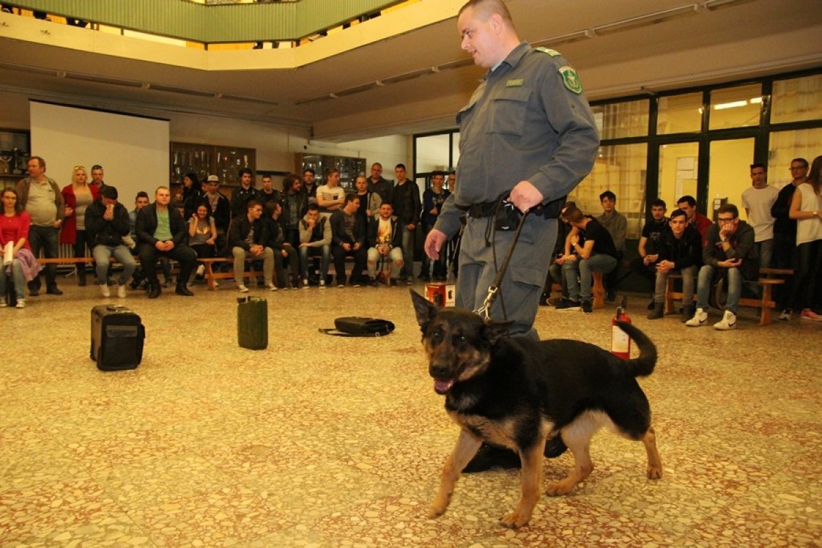 Diáknapi élménybeszámoló