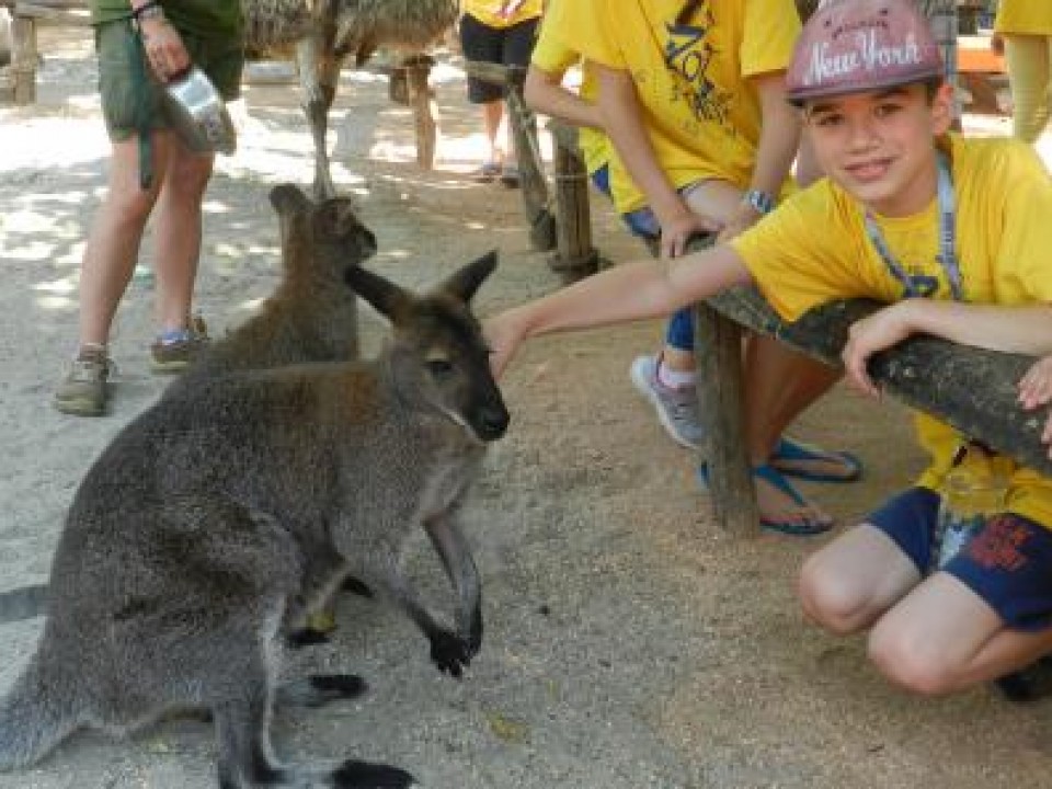 Mi történik a Sóstó Zoo-ban?VIDEÓ!