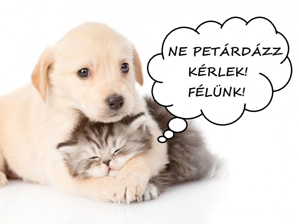 NE PETÁRDÁZZ!