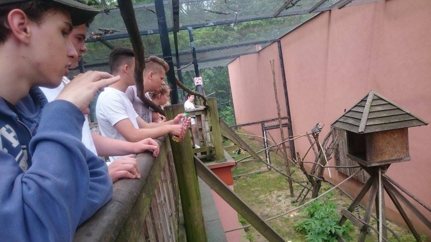 Faktosok a Nyíregyházi Állatparkban!
