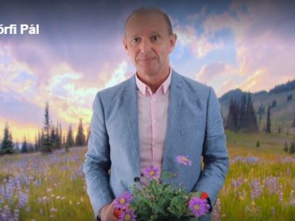 Lányoknak, anyáknak üzent Győrfi Pál