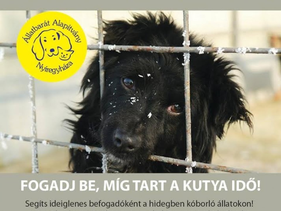 Ne sétáljunk el mellettük!