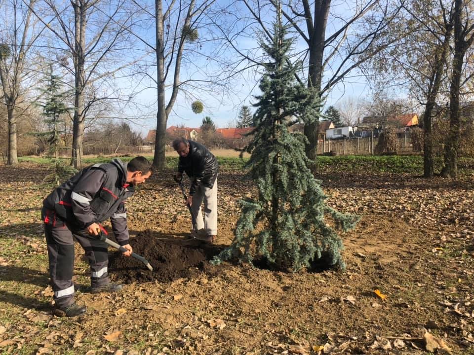 Egyre többen ajánlanak fel növényeket városunk szépítésének céljából