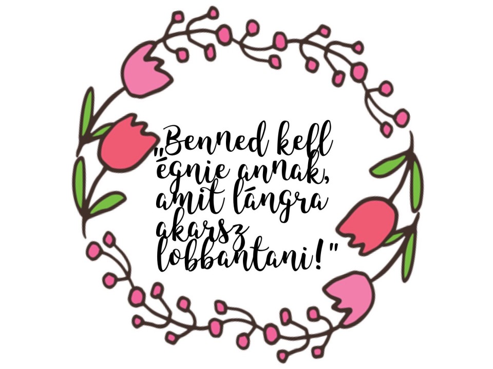 NAPI IDÉZET